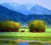 画像2: No7・2026年度版アメリカンカントリーカレンダー  WCA101551 Always Welcome【2枚限り】*只今入荷待ちです。 (2)