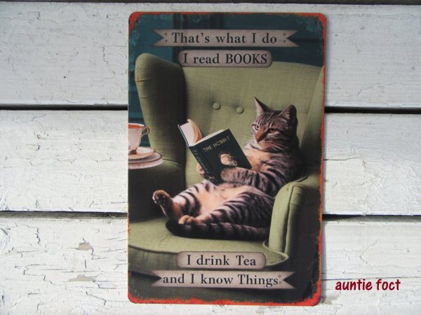 画像1: 【メタルブリキサインプレート看板】ヴィンテージ猫読書 (約)W200×H300 