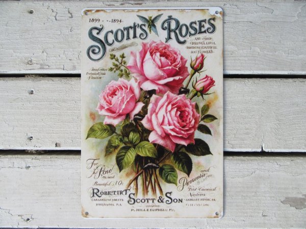 画像1: 【アルミサインプレート看板】ヴィンテージ スコットのバラ ピンクローズブーケ (約)W200×H300 